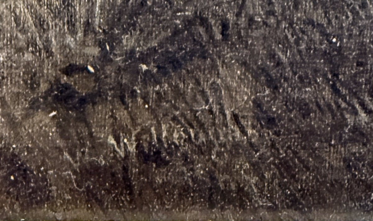 William Willoughby - Cricket Match With The Geese - U.s.a. 19th Century-photo-3